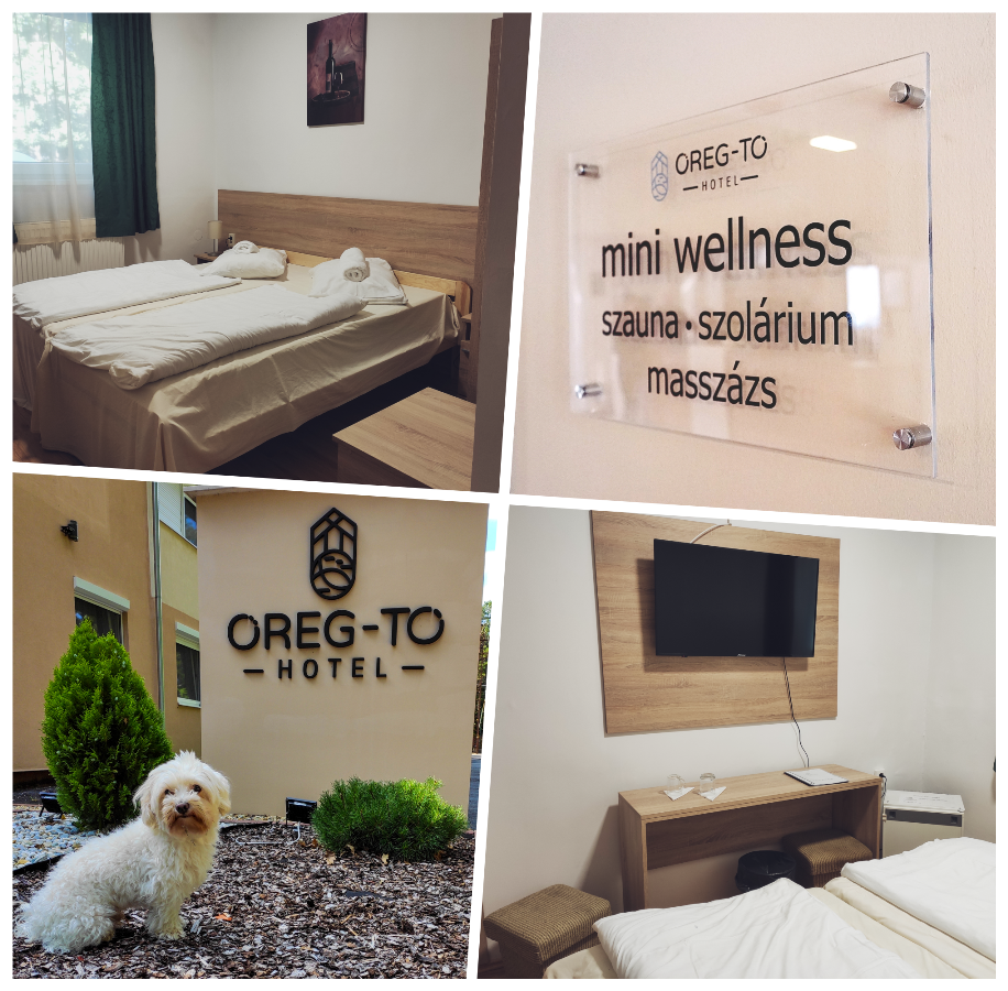 Oereg-To Hotel Es Rendezvenyter Tata Exteriér fotografie